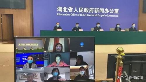 辽宁援沪爆料视频大全下载,视频大全背后的感人瞬间